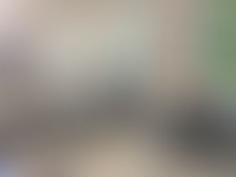 Захист дипломних проектів