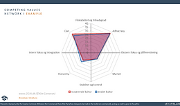 competing value network 1.PNG