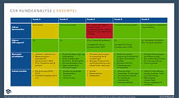 csr kundeanalyse ex.PNG