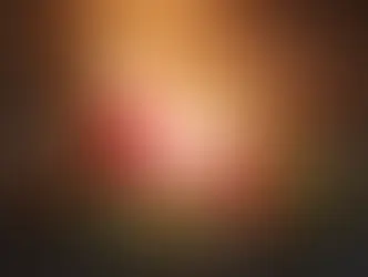 Christmas in our Stake- Kutschera