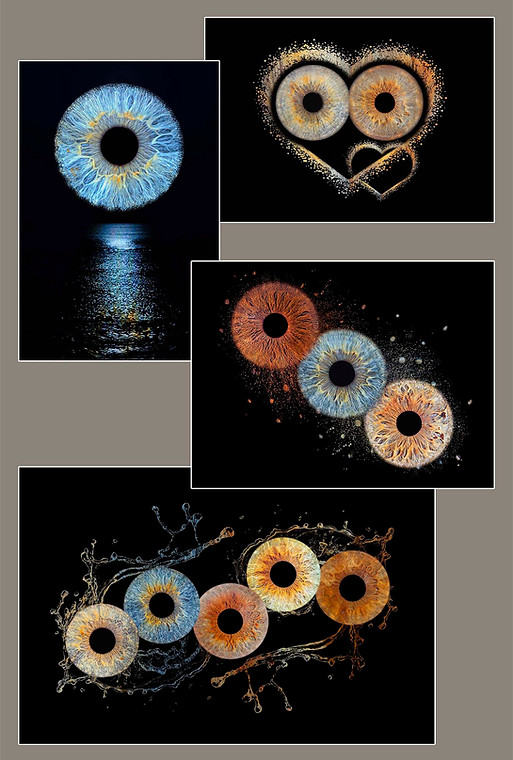 IRIS CARTOUCHE.jpg