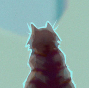 Cat Style Projects