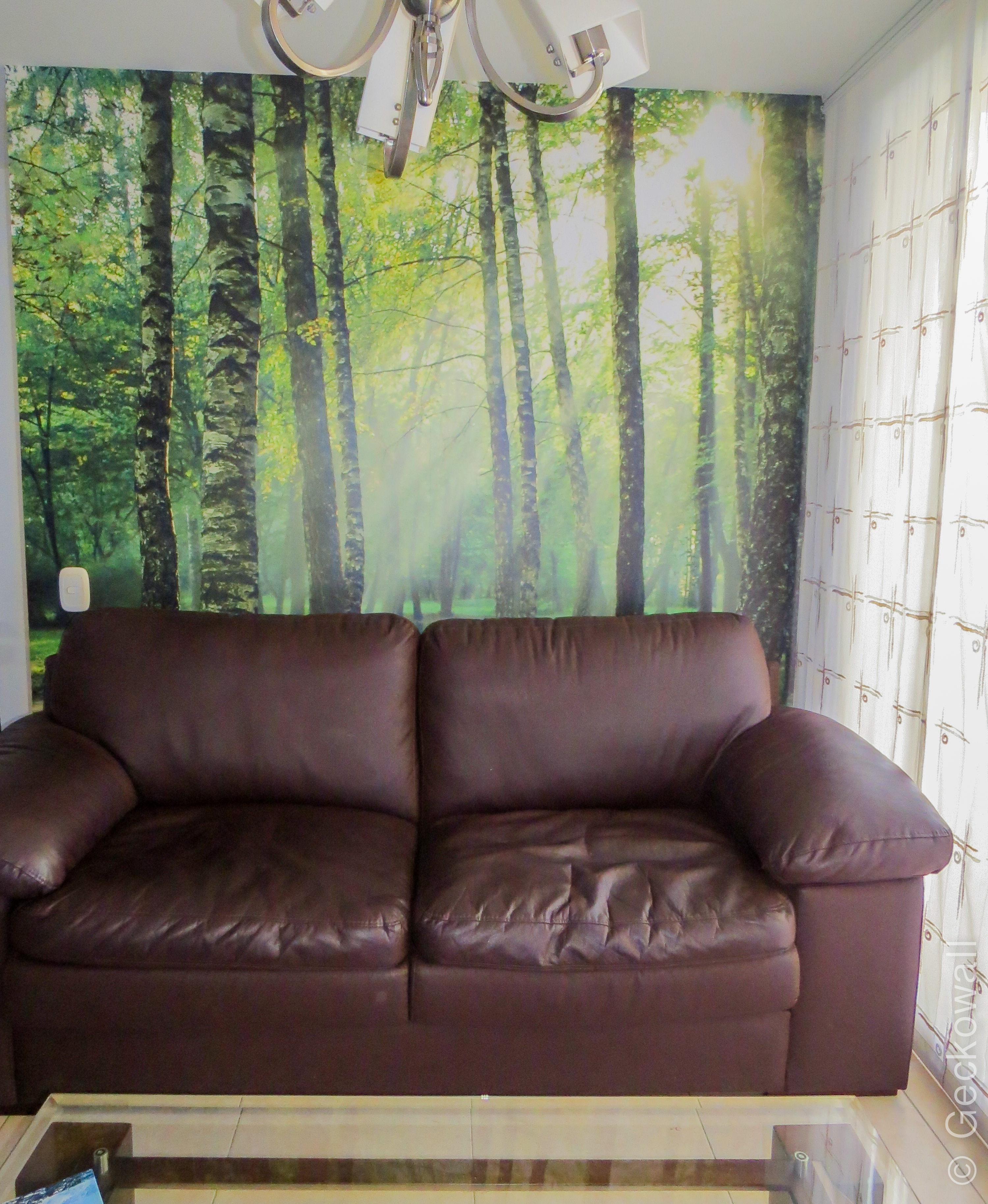 Foto Mural Bosque