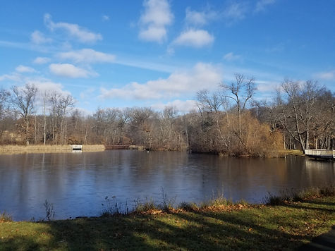20181201_103351.jpg