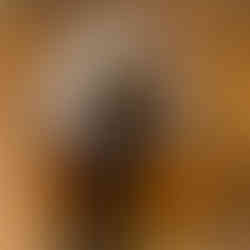 Az RKO, a Reinigungs Kommando tisztítási munkálatokat végez, nedves törlést a takarítás alatt.