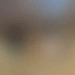 Gyümölcsfa ültetés a Takarító Kommandó szervezésében, Budapest - Hármashatárhegyi repülőtéren