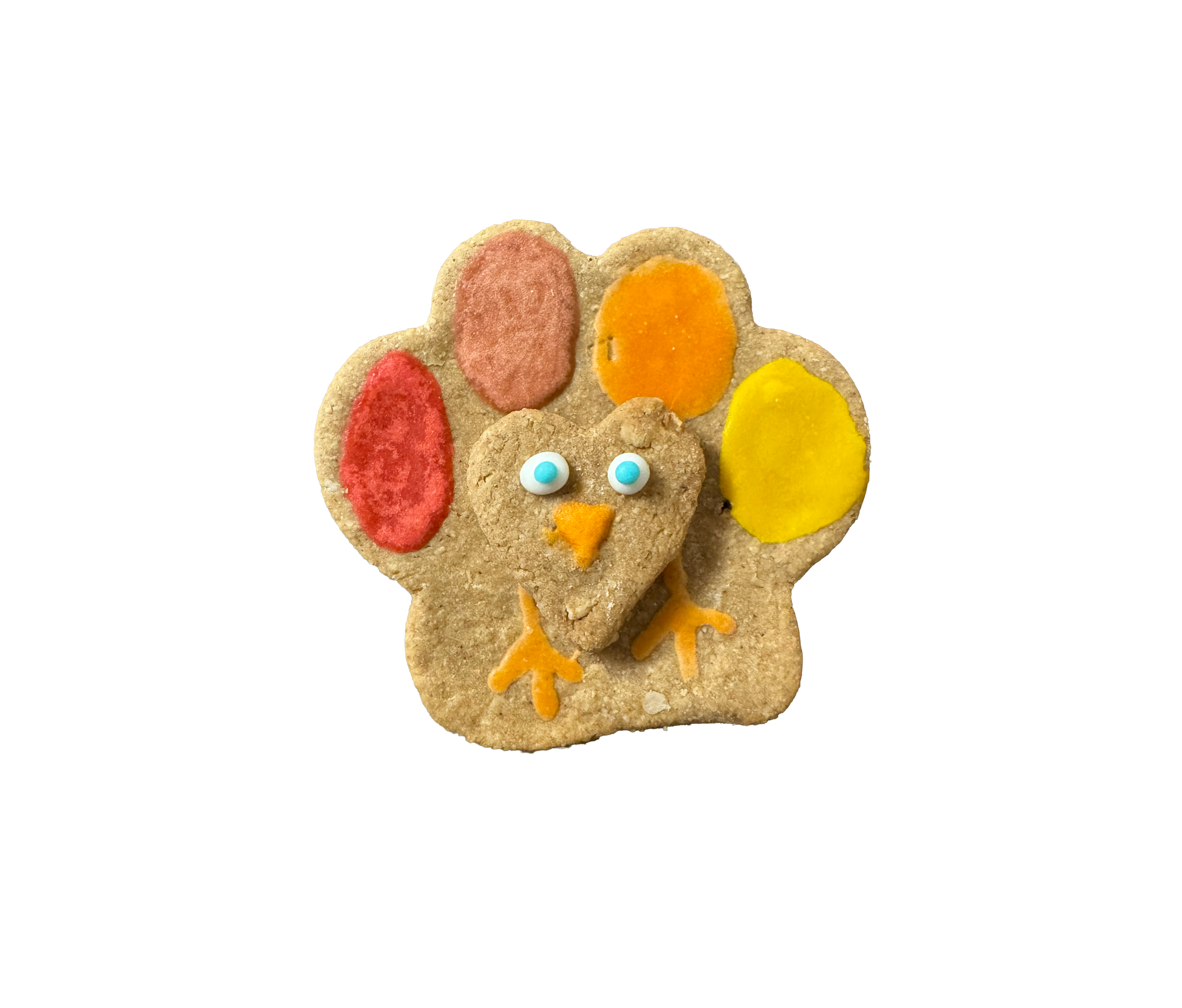 Turkey Cookie