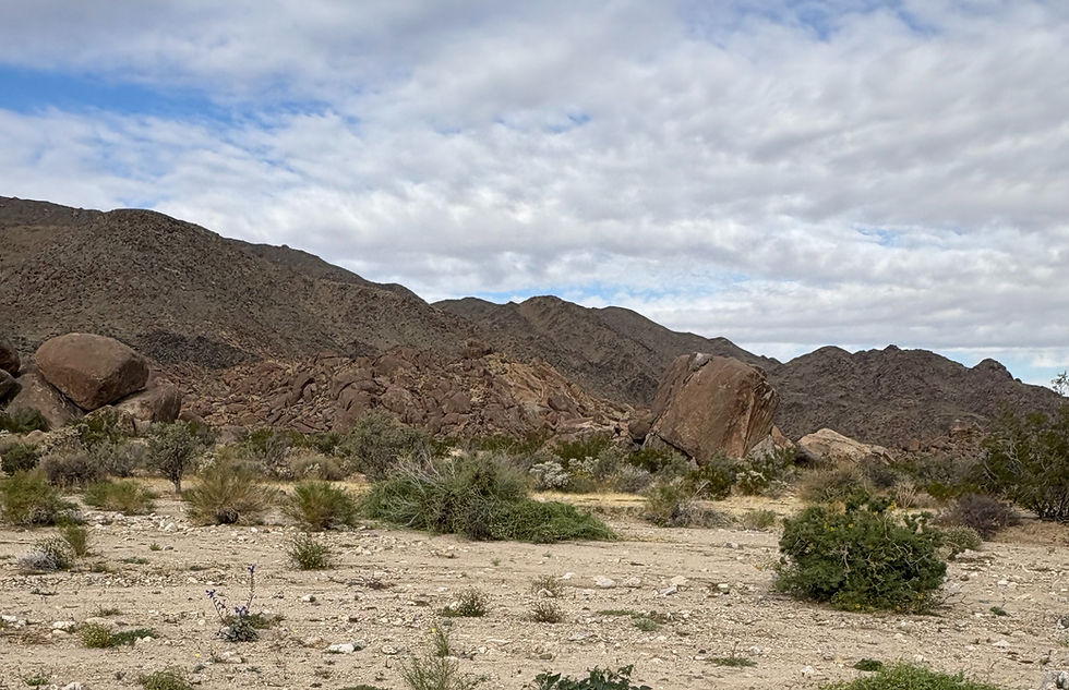 Lesson from the Desert