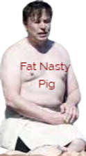 elon musk_edited_edited_edited_edited.pn