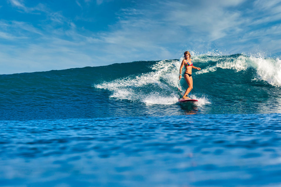 surfer-on-a-wave-H9DR8UM.jpeg