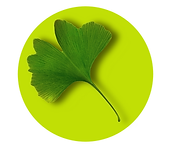 Logo3.png