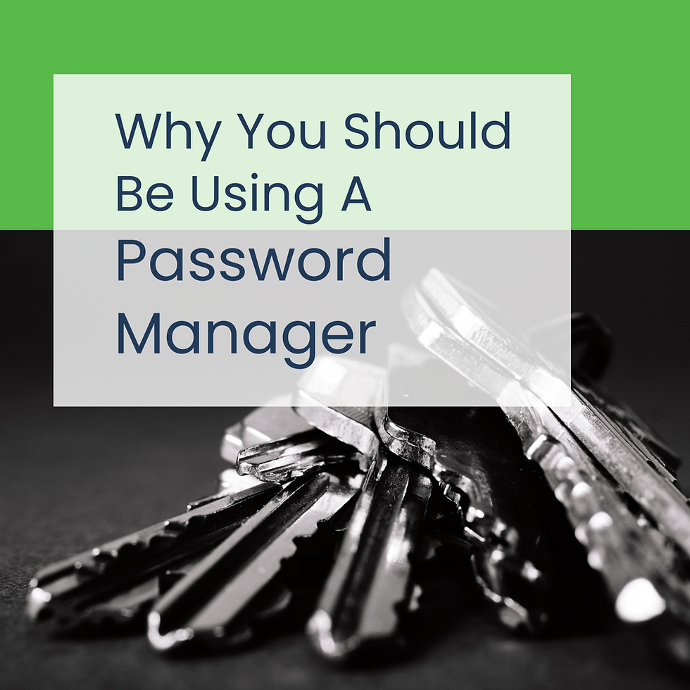 Password manager
