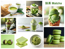 お茶製品の資料