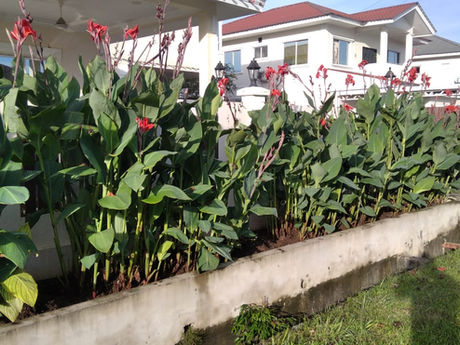 WhatsApp Image 2021-11-20 at 7.59.12 PM.jpeg