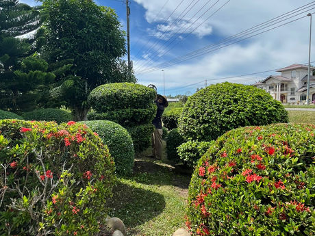 WhatsApp Image 2022-06-09 at 1.01.16 PM.jpeg