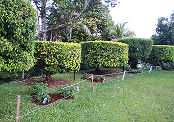 WhatsApp Image 2021-11-20 at 7.58.10 PM (1).jpeg