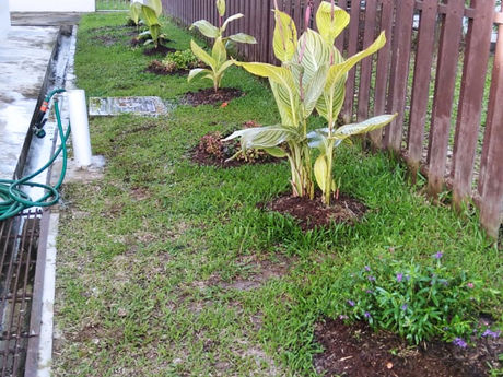 WhatsApp Image 2021-11-20 at 7.59.12 PM (2).jpeg