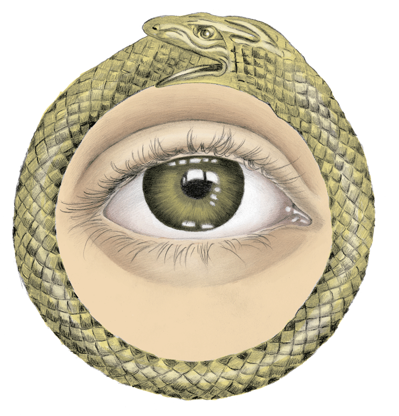 tumblr_bc5b040049f9a914280f4ae934ec6347_7ba50805_1280.gif