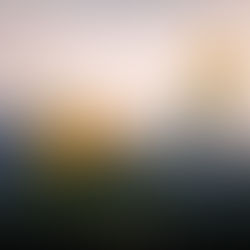 《告白失敗怎麽辦？》