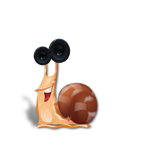 Mein WOWfoto-Logo: eine lächelnde Schnecke mit Kameraobjektiven als Augen