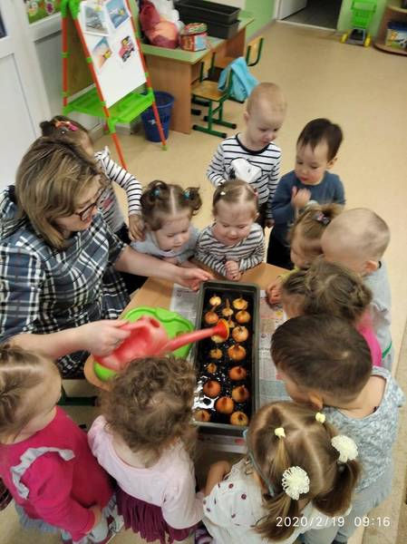 Посадка лука