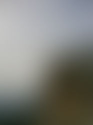 יוצאים לטיול וחוזרים בחיים