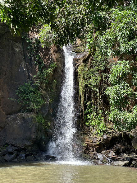 National Tropical Botanical Garden, South Shore of Kaua