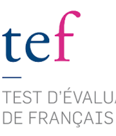 TEF LOGO.png
