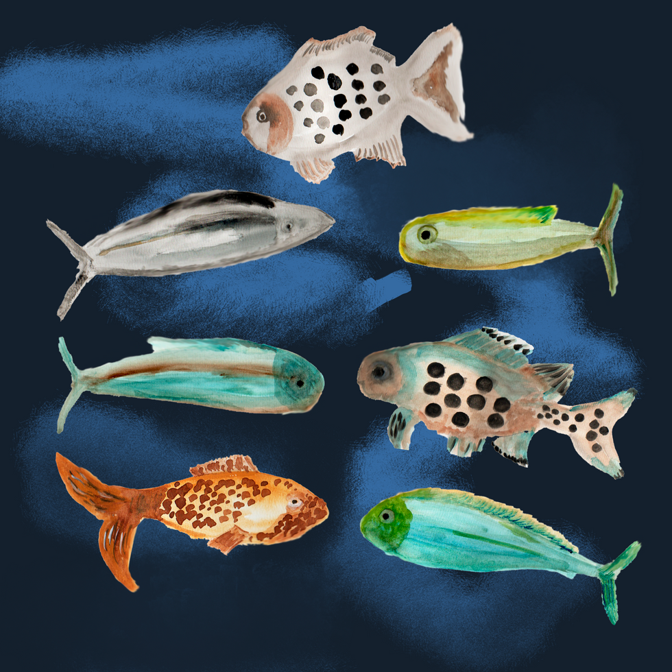 escuadron peces.png