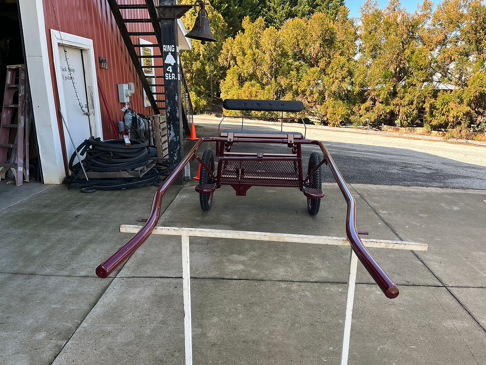 Thumbnail: ***BRAND NEW CCS EXERCISE CARTS***