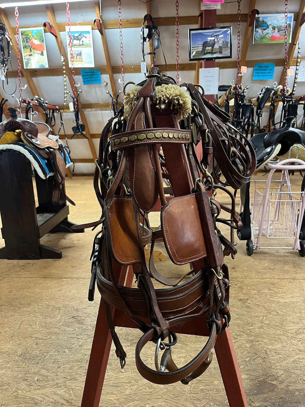 Thumbnail: !!!ALL LEATHER, STD. HORSE SHOW HARNESS!!!