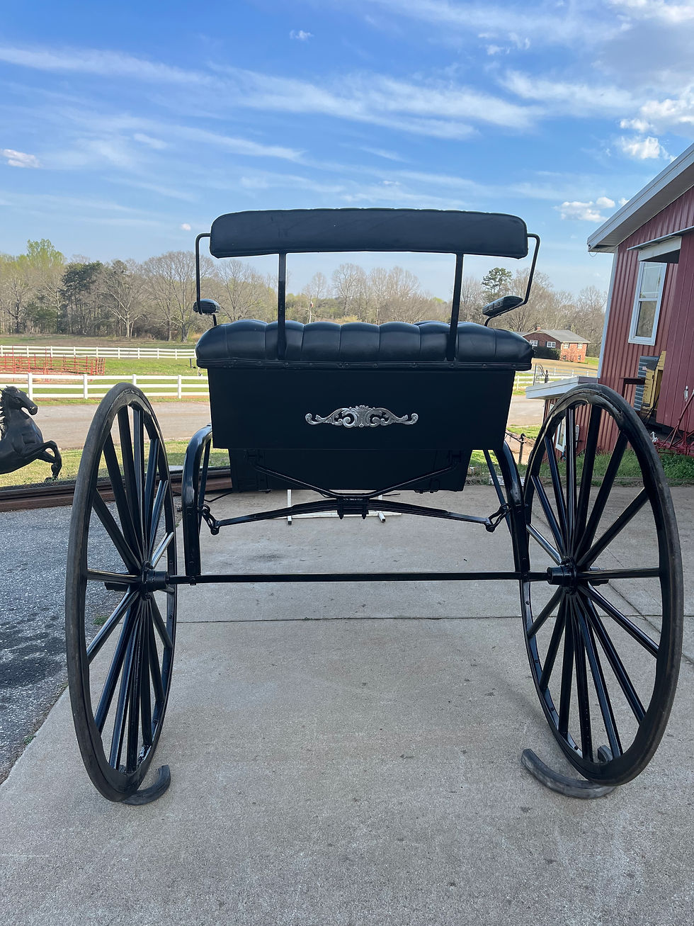 Thumbnail: ***EXCELLENT USED DRAFT CART***