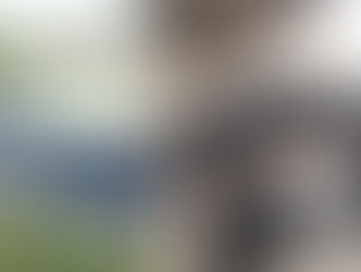‘조류 독감 젖소 감염’ 확산.. 간 쇠고기 조사 나서