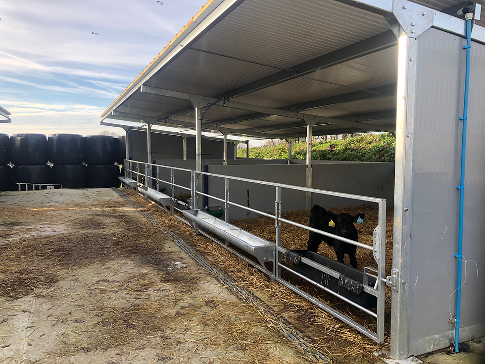 Calf rearing unit