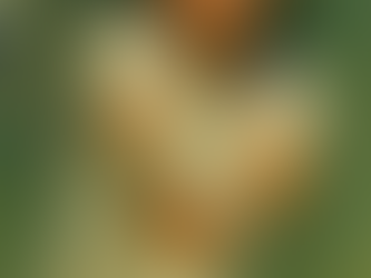 テニスプレーヤーのジミー・コナーズ