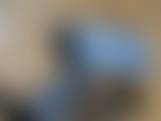 ハンディースチーマーを買いました