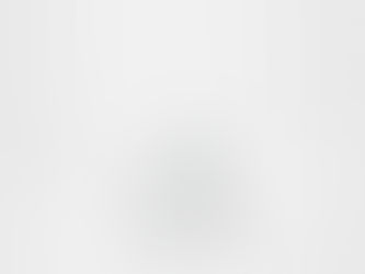 森林限界に佇む1本の木