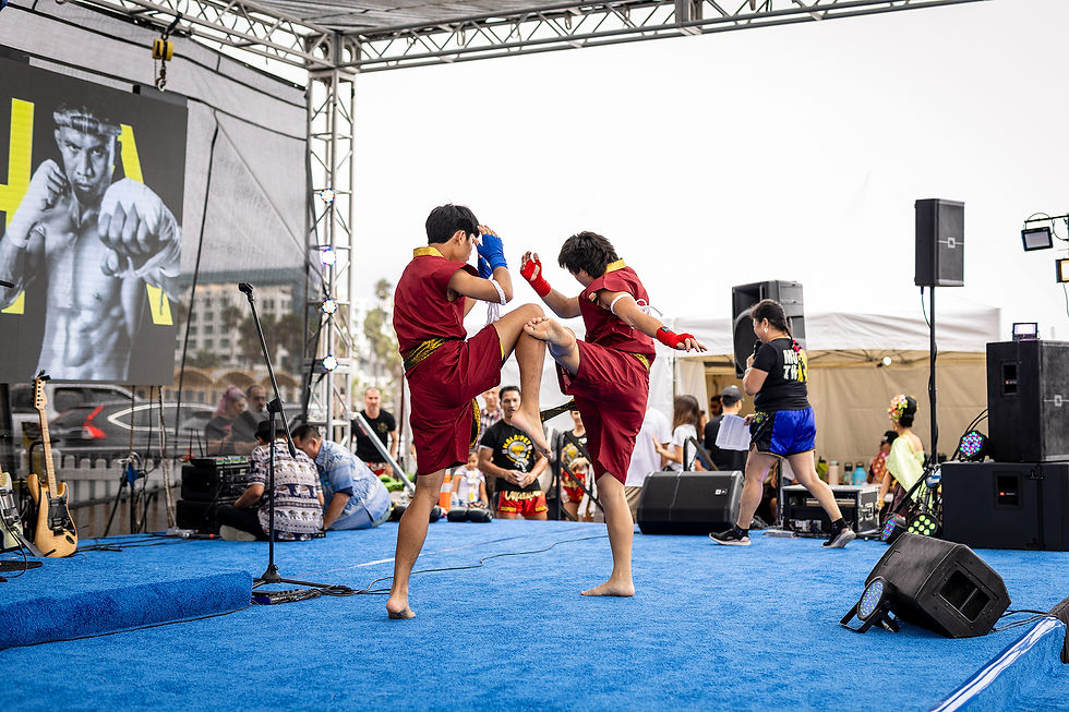 Thai Fest 2025 Performance23.jpg