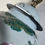 Thumbnail: Large Chinese Qing Dynasty Famille Rose Lidded Temple Jar Converted Lamp