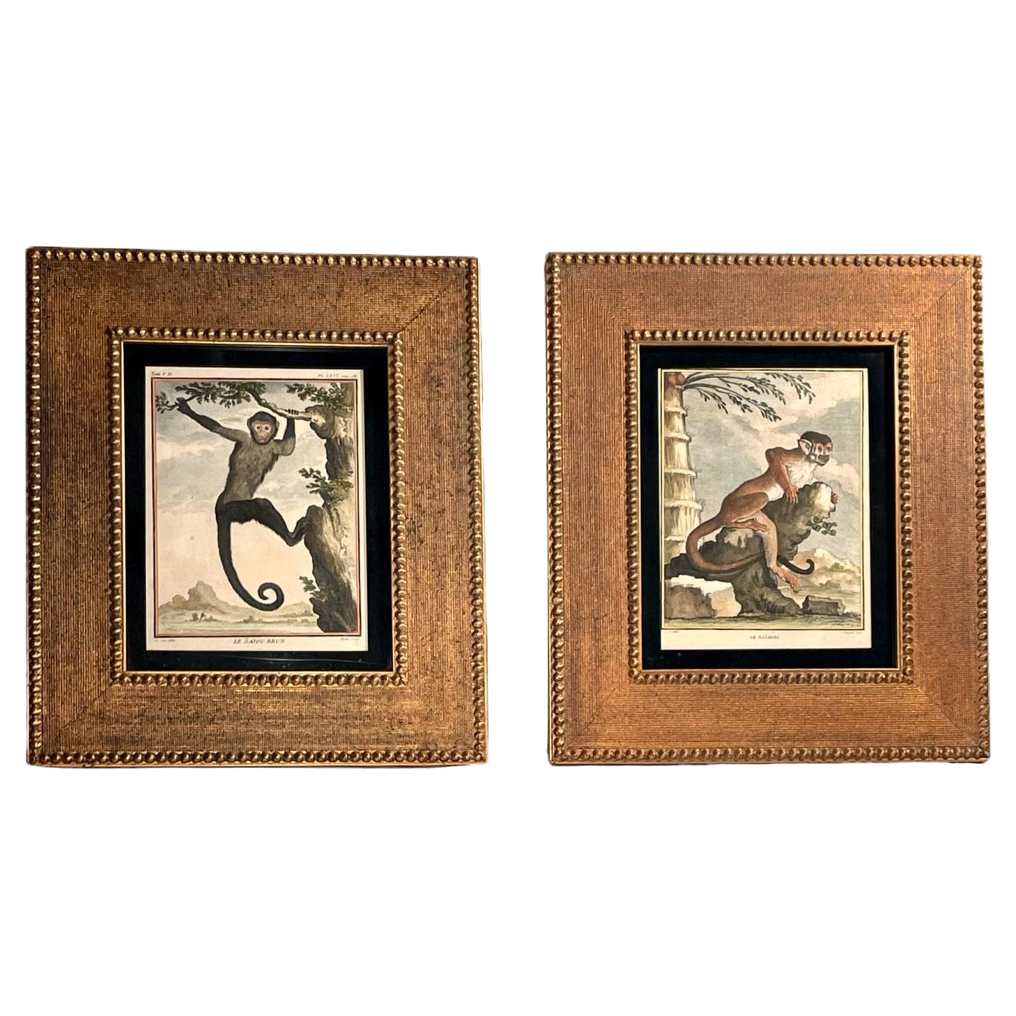 Pair Original Hand Colored Engravings, Georges-Louis Leclerec, Comte de Buffon.