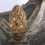 Thumbnail: Important Early 18th Century Italian Baroque Reliquary Casket