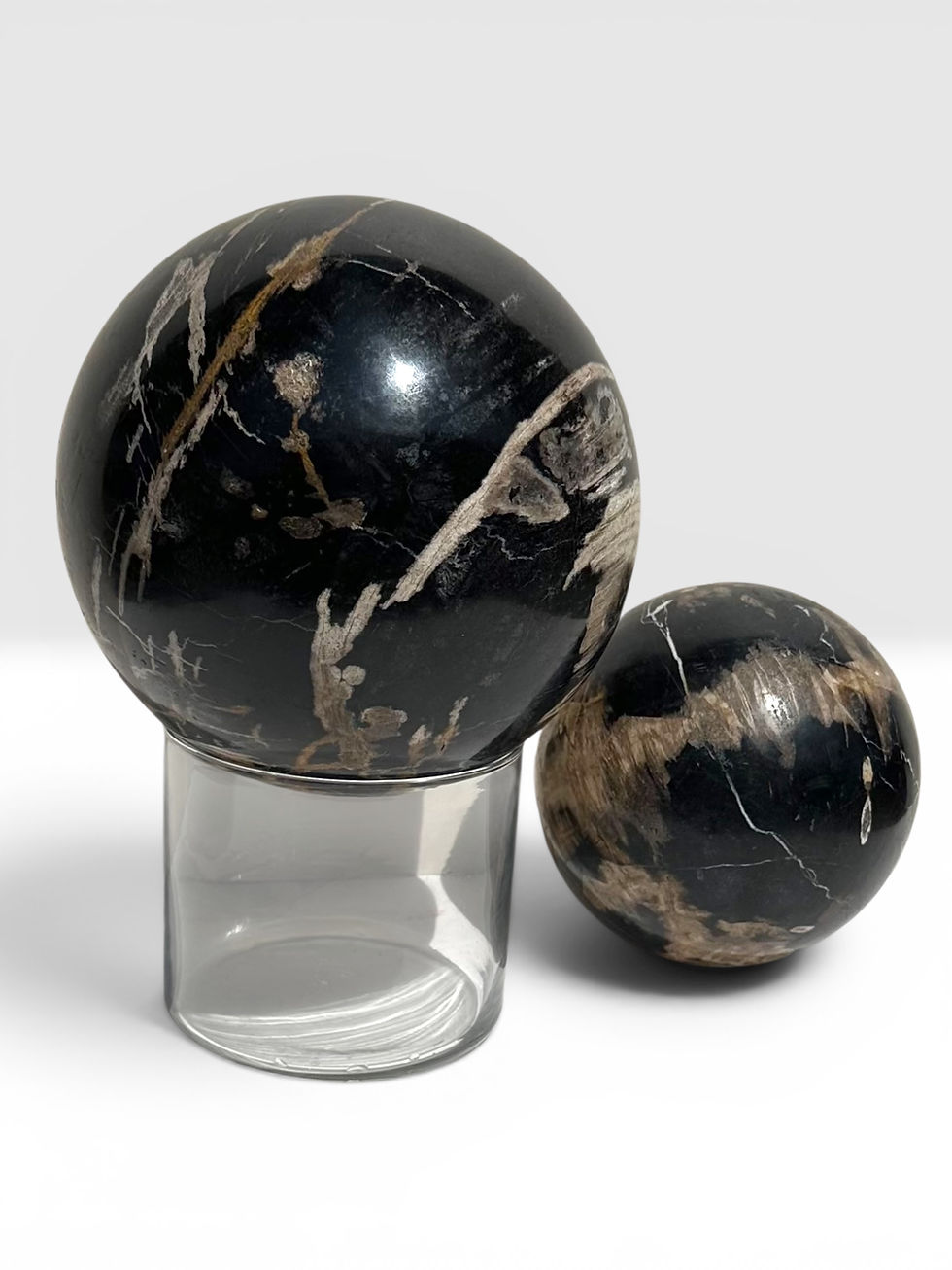 Thumbnail: Two Polished Petrified Wood Organic Spheres