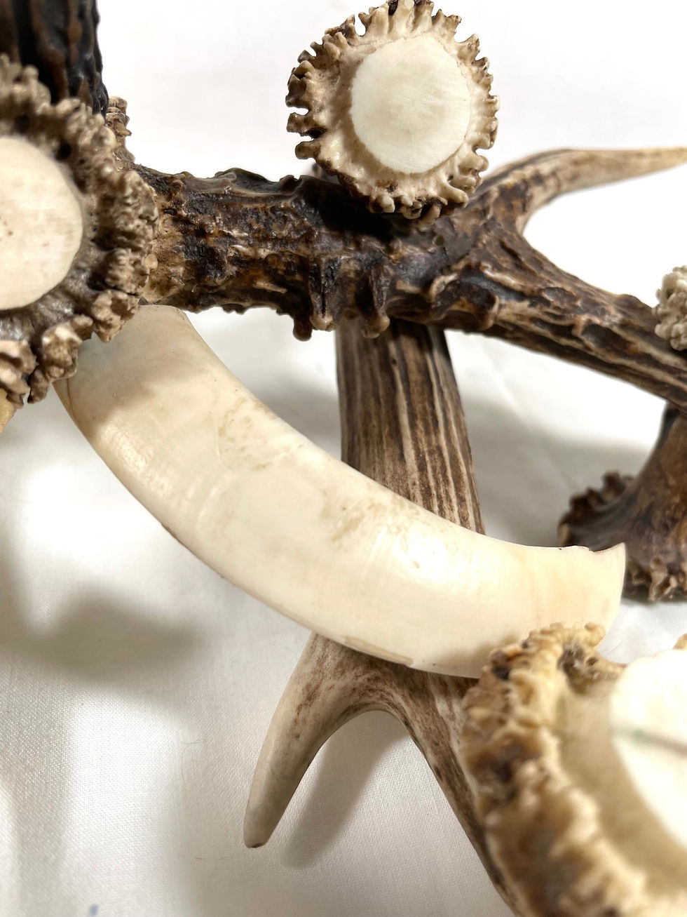 Thumbnail: Antique Antler and Boar Tusks Candle Holder Centerpiece