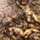 Thumbnail: French 19th Century Heavy Bronze Relief Plaque of 3 Cherubs