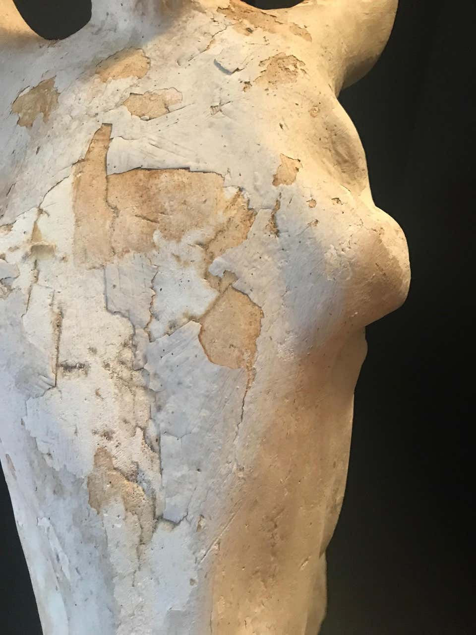Thumbnail: SOLD -Antique Plaster Cast of the Parthenon Selene Horse Head