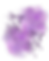 New Services (8).png