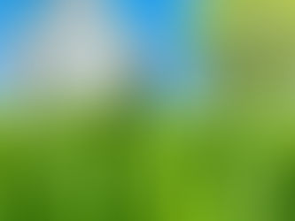 Specialized Lawn Services in Greely Area