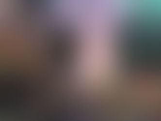 Why Madeira Should Be on Your Christmas Wish List