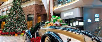 Christmas Cruise