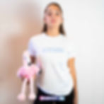 front of the SNATCH FLAMINGO T-shirt, with a pink flamingo, t-shirt, light blue, pink,